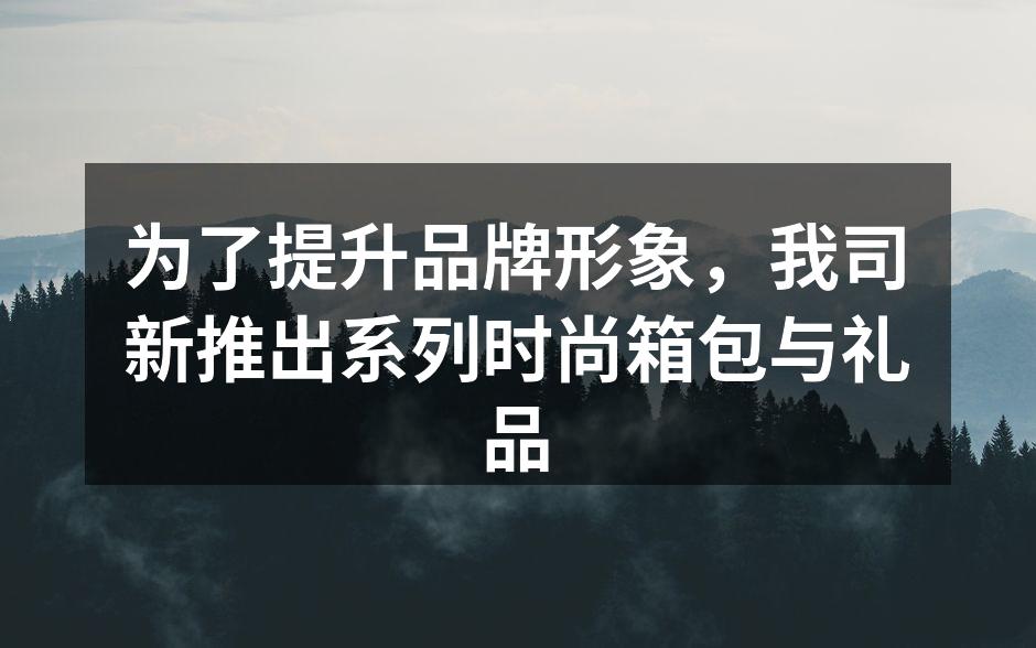 新款环保箱包,时尚与实用兼得