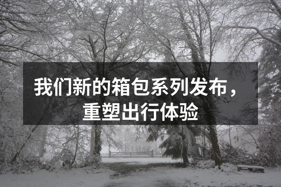 全新箱包系列展现时尚风格